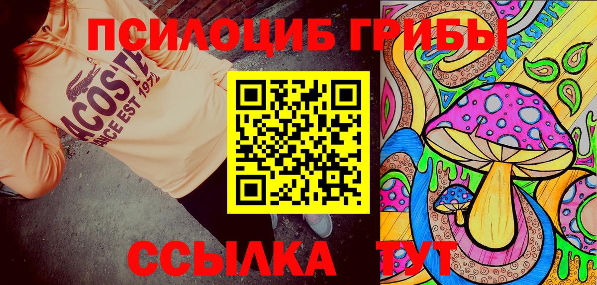 сколько стоит  Псилоцибиновые грибы Cubensis  Вход с VPN  Нальчик 