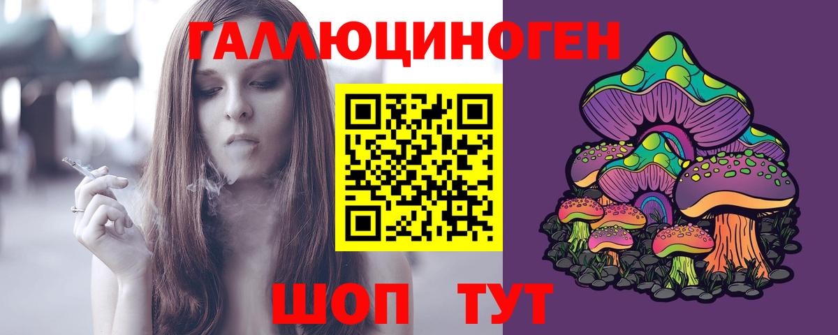 Галлюциногенные грибы Psilocybine cubensis Нальчик